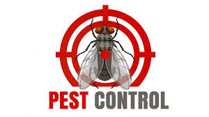 En İyi  Böcek İlaçlama Şirketi – Ev İlaçlama Firması  -Bugün İlaçlat.